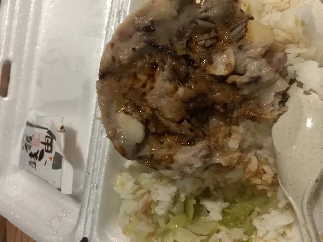章魚肉餅飯