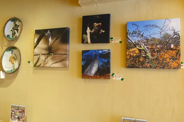 野生動物主題餐廳