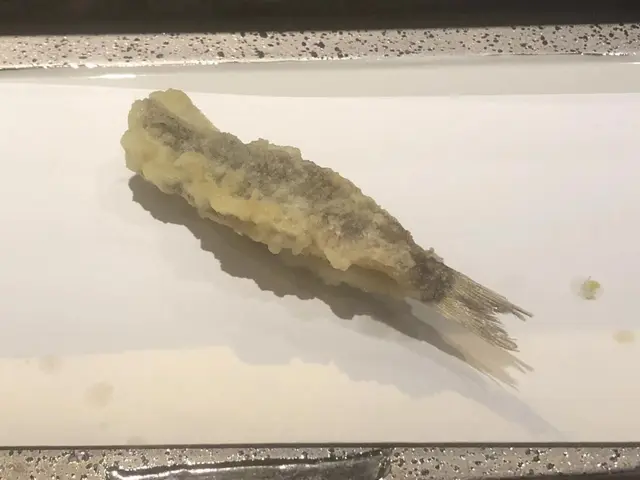 tempura