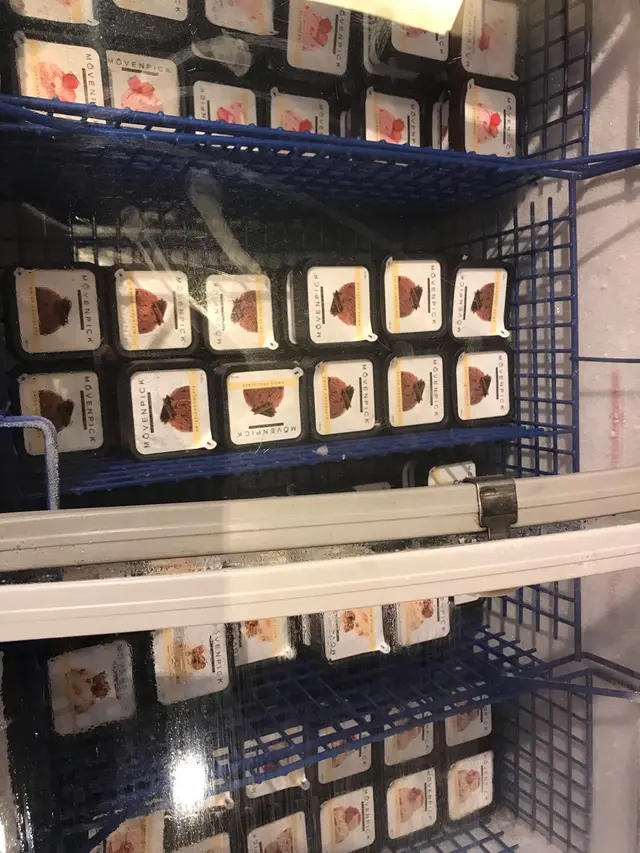 Movenpick抔裝雪糕