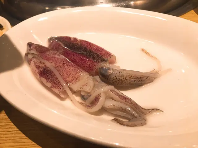 魷魚