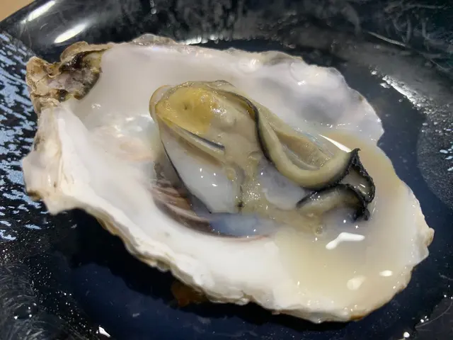 原隻生蠔擺上去蒸,
蠔肉肥美,蠔身綿滑,
鮮甜並帶點海水味。