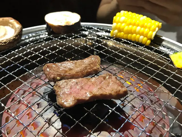 澳洲M9和牛牛腱肌肉