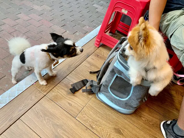 幸幸在門外遇上其他狗仔