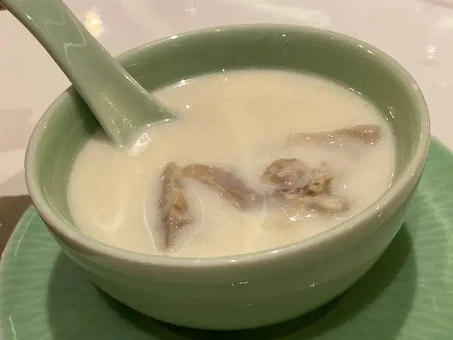 杏汁燉白肺湯