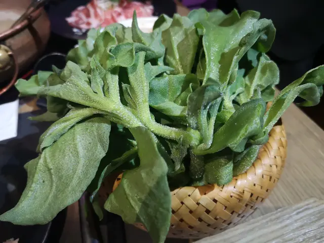 唔係度度有得食