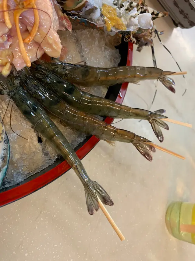 海蝦