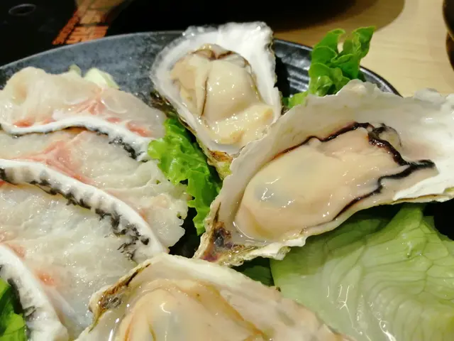 韓國慶南蠔 + 深海龍躉片