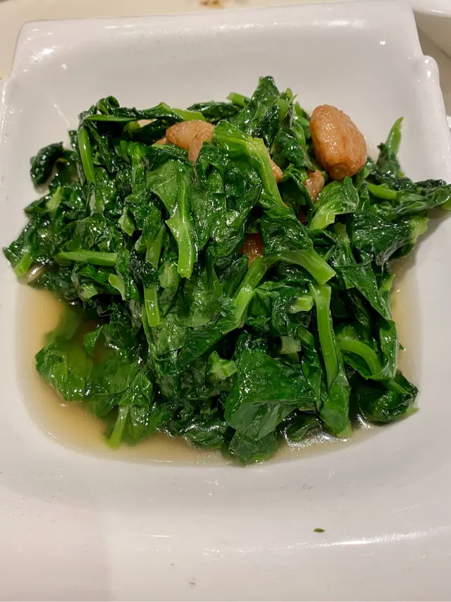 豆苗