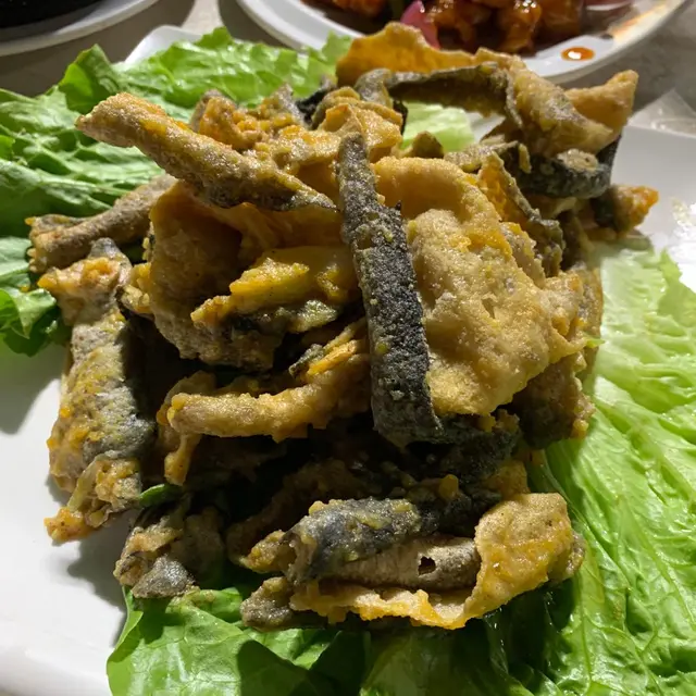 黃金魚皮