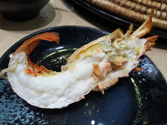 澳洲青年龍蝦