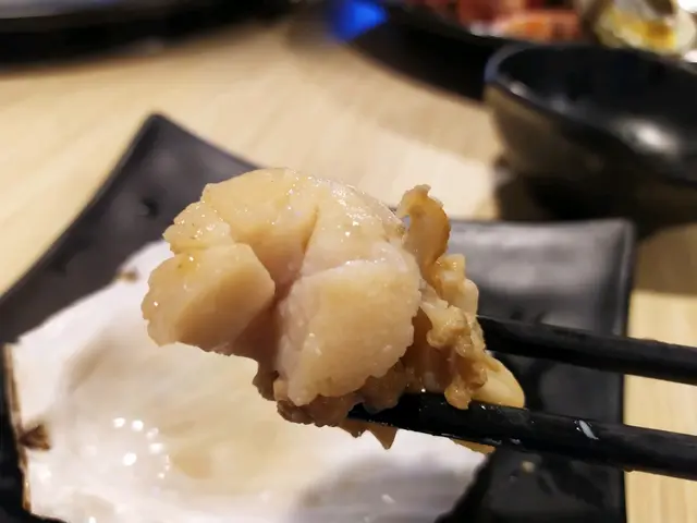 日本大元貝