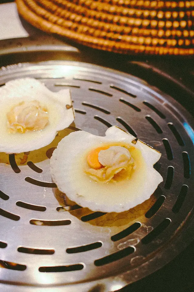 日本大元貝