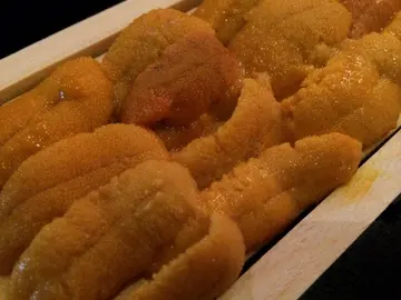 海胆刺身