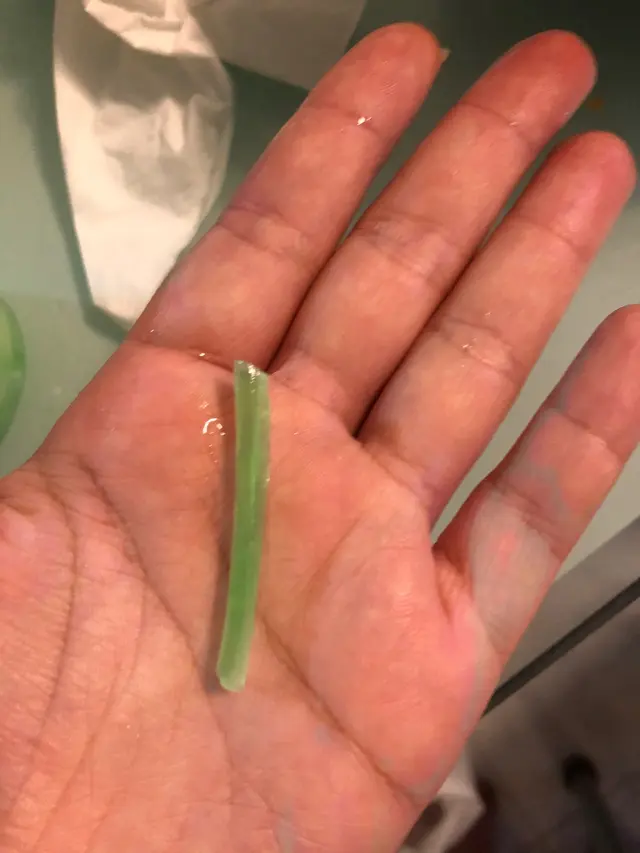 越式豬排撈檬