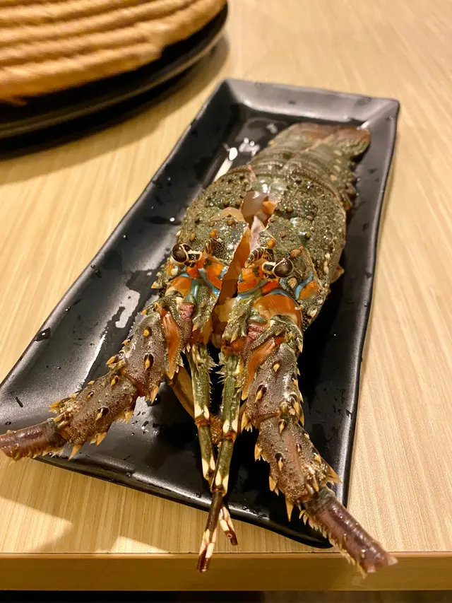 澳洲青年龍蝦