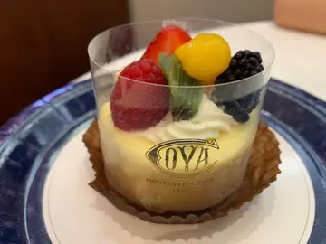 Baked Cheese Cake with Fruits