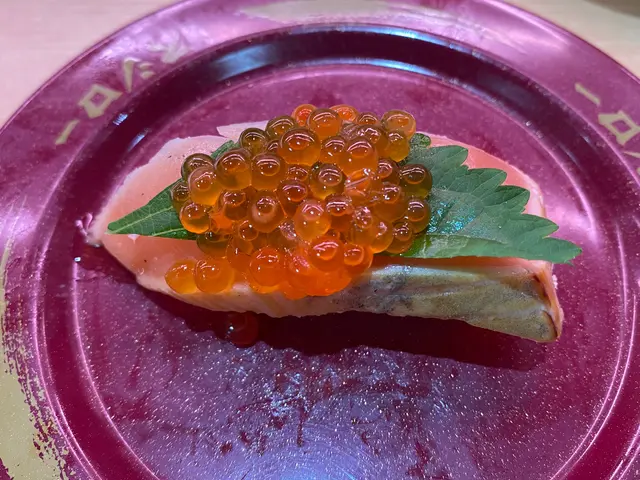 北海道產稻烤三文魚