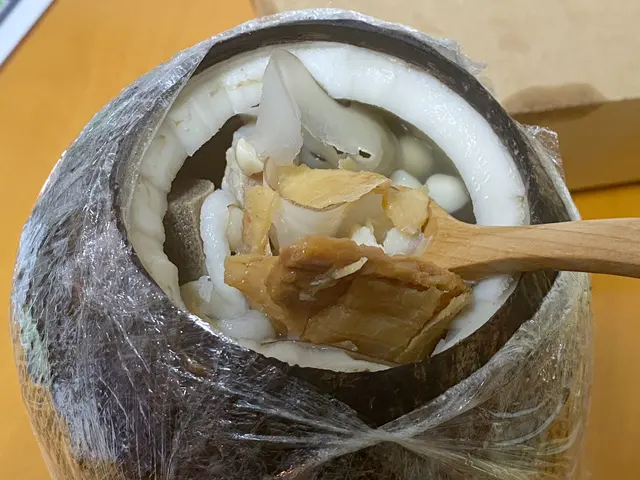 川貝海底椰燉鱷魚肉湯