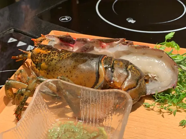 龍蝦，你睇幾瘦  ，陰公