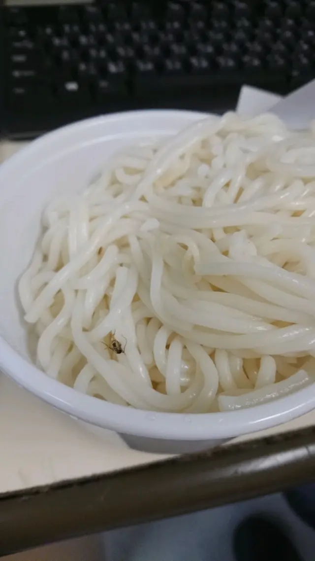 分別出現喺兩碗米線嘅兩隻昆蟲