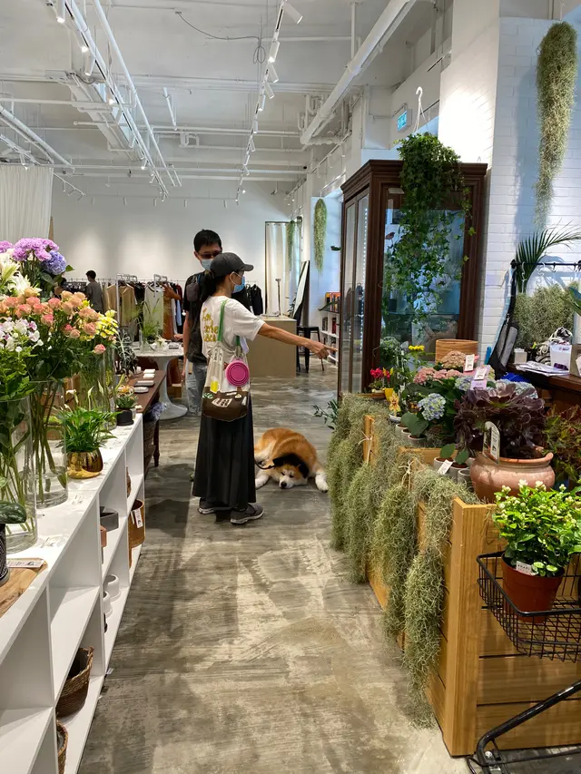 其他區域，毛孩都唔願走😂