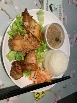 赤烤鸡肉饭