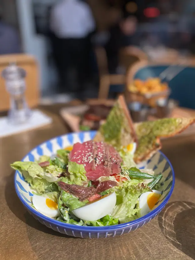 炙燒吞拿魚尼斯沙律