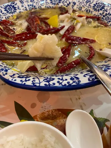 垃圾味道嘅酸菜鱼