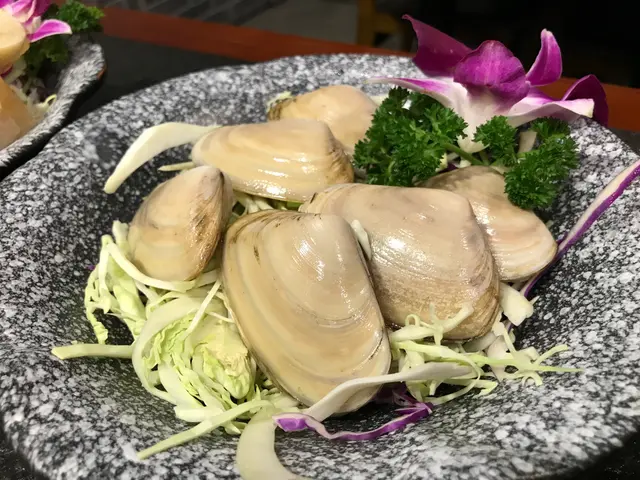 智利特大刀貝蚌