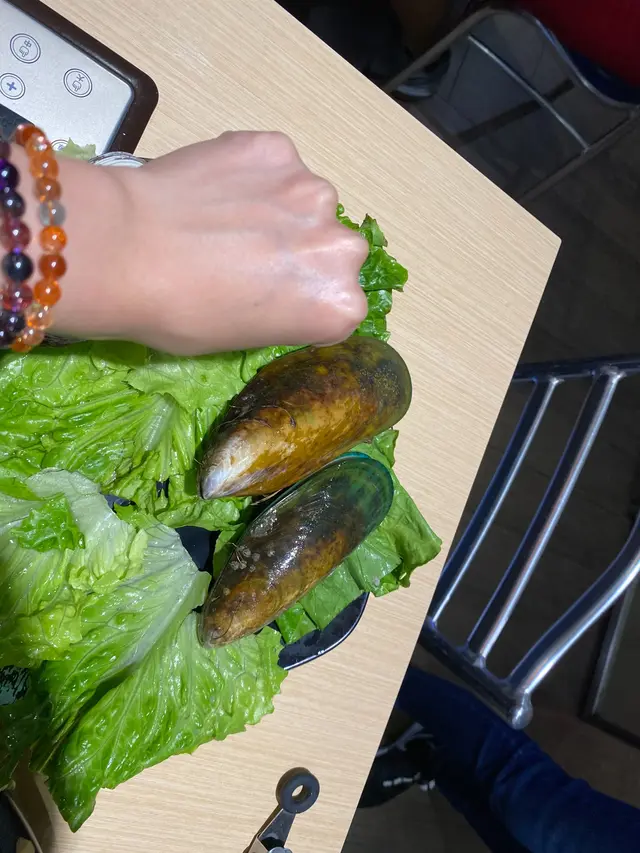 大西洋野生青口