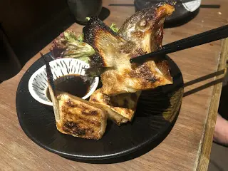 油金魚鮫