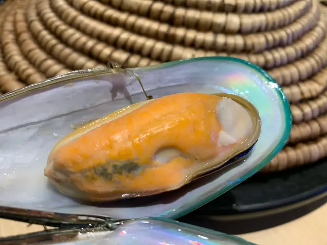 大西洋野生青口