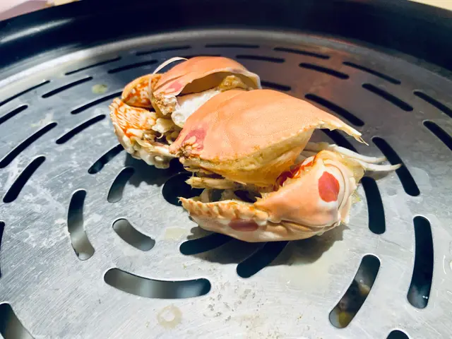 太平洋饅頭蟹