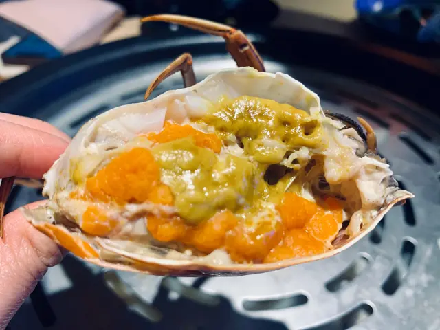 罕有大黃奄蟹