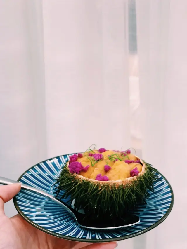 Hokkaido Sea Urchin