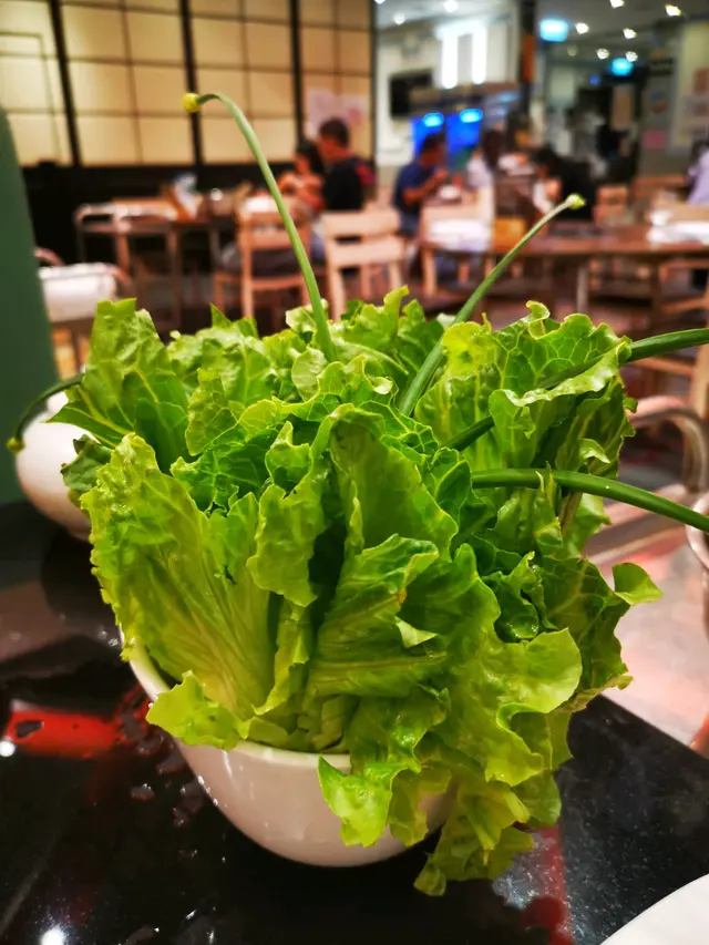 生菜擺放像盆栽,本身非常鮮甜