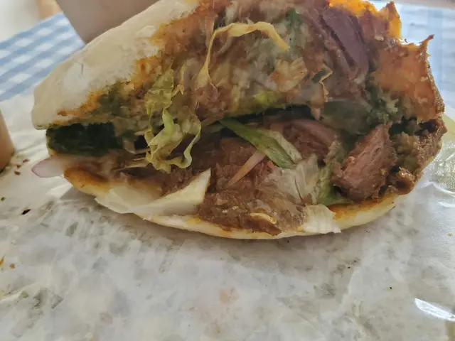 beef panini