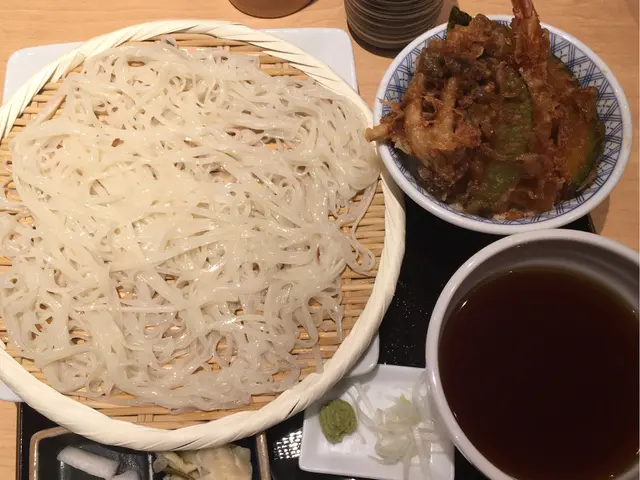 迷你天丼及稻庭烏冬(凍)