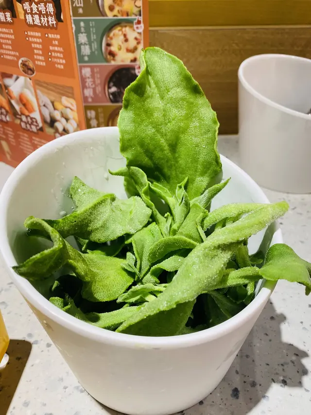 冰菜