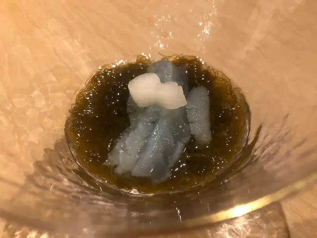 沖繩海雲醋物