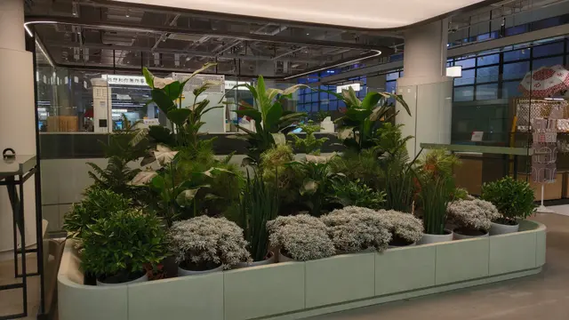 場內有少量地方站立進食