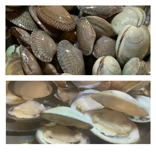 花甲 + 沙白 + 蜆