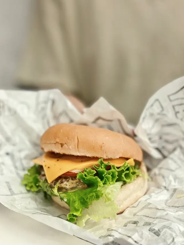 DOUBLE CHEESE BURGER