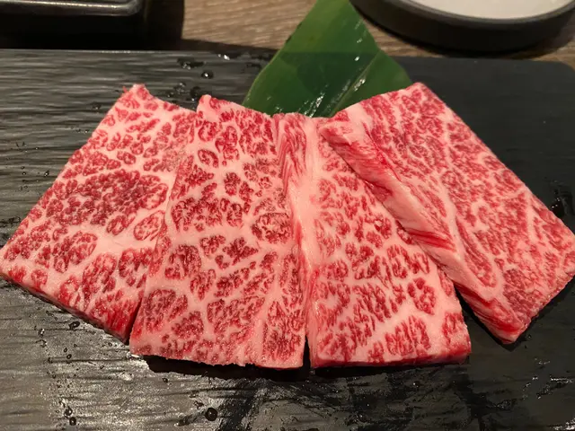 究極佐賀產A5極上和牛牛肋肉