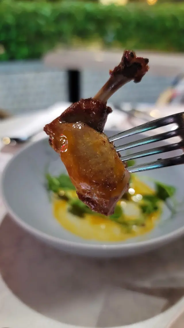 set dinner - 茶燻乳鴿配黃梅醬