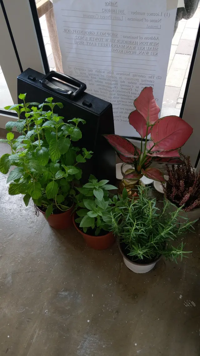 清新簡約風格，並綴以綠色植物綠化環境，增添生氣！