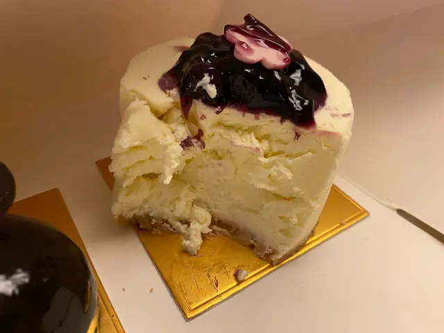 Blueberry Cheese Cake
