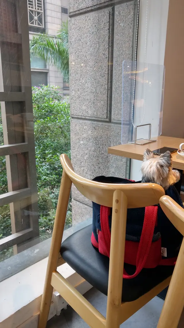 也是寵物友善餐廳,可以帶狗,方便狗狗主人
