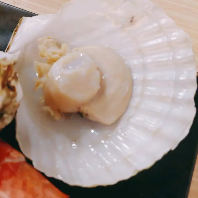 扇貝